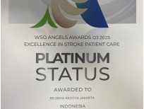 WSO Angels Award Q3-2025