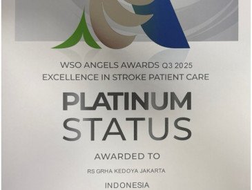 WSO Angels Award Q3-2025